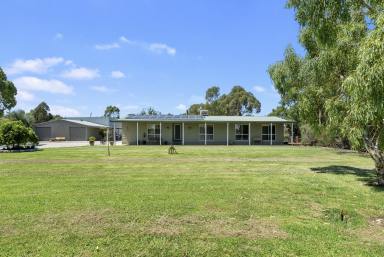 Farm Sold - NSW - Tocumwal - 2714 - QUALITY RURAL HOME AND SHEDDING  (Image 2)