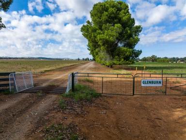 Farm Sold - NSW - Collingullie - 2650 - Rural lifestyle on the doorstep of Wagga  (Image 2)