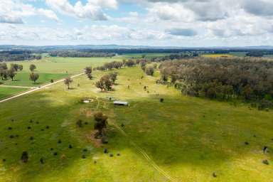 Farm Sold - NSW - Collingullie - 2650 - 29 BERRY JERRY ROAD, COLLINGULLIE NSW  (Image 2)