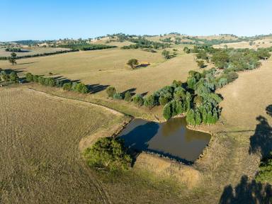 Farm Sold - NSW - Wagga Wagga - 2650 - Highly Reliable Riverina Grazing  (Image 2)
