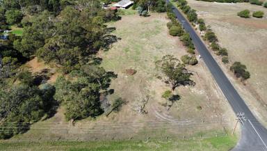 Farm For Sale - SA - Millicent - 5280 - Country Lifestyle Allotment  (Image 2)