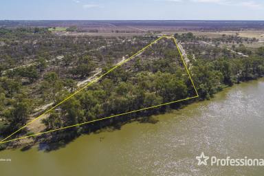 Farm Sold - NSW - Boeill Creek - 2739 - Absolute River Frontage  (Image 2)