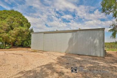 Farm Sold - VIC - Red Cliffs - 3496 - TAKE A LOOK AT WHAT’S ON OFFER!  (Image 2)