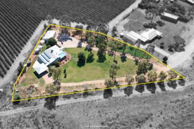 Farm Sold - VIC - Red Cliffs - 3496 - TAKE A LOOK AT WHAT’S ON OFFER!  (Image 2)
