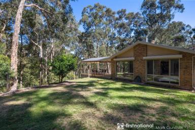Farm Sold - VIC - Healesville - 3777 - Sounds Of Nature!  (Image 2)