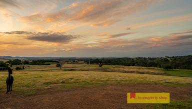 Farm Sold - NSW - Mudgee - 2850 - COME HOME TO YOUR HOUSE ON THE HILL  (Image 2)