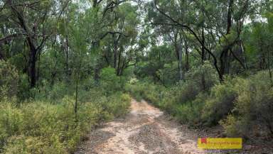 Farm Sold - NSW - Turill - 2850 - MID-WESTERN REGIONAL COUNCIL SALE OF LAND FOR UNPAID RATES  (Image 2)