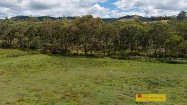 Farm Sold - NSW - Mudgee - 2850 - MID-WESTERN REGIONAL COUNCIL SALE OF LAND FOR UNPAID RATES  (Image 2)