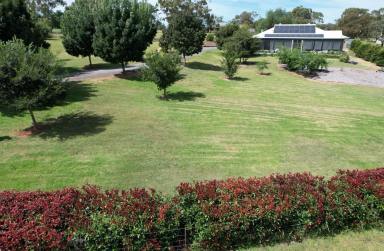 Farm Sold - NSW - Merriwa - 2329 - Pretty as a picture!  (Image 2)
