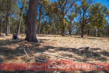 Farm For Sale - WA - Donnybrook - 6239 - AMAZING VIEWS AT THE TOP OF THOMSON  (Image 2)