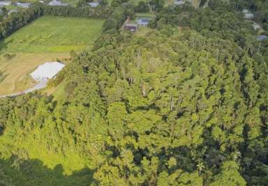 Farm For Sale - QLD - Tully - 4854 - 8 ACRES AT FOOTHILLS OF MT TYSON!  (Image 2)