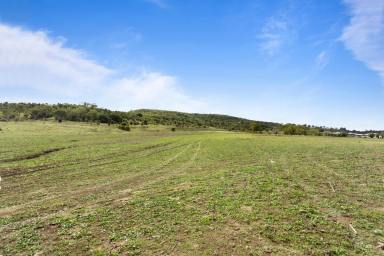 Farm Sold - QLD - Gowrie Junction - 4352 - Acre Lot in Beautiful New Estate  (Image 2)