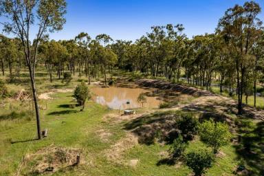 Farm Sold - QLD - Goombungee - 4354 - Perfect Lifestyle Escape - 11.5 Acres - 25 Minutes To Toowoomba  (Image 2)