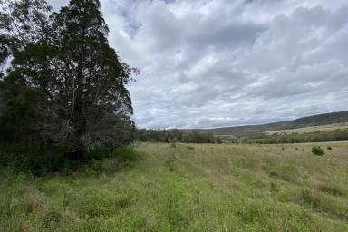 Farm Sold - QLD - Hirstglen - 4359 - Fully Fenced on 53 Acres  (Image 2)