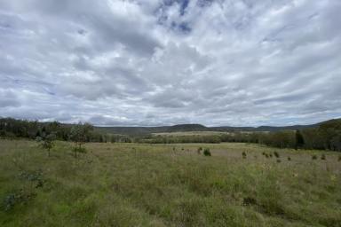 Farm Sold - QLD - Hirstglen - 4359 - Fully Fenced on 53 Acres  (Image 2)