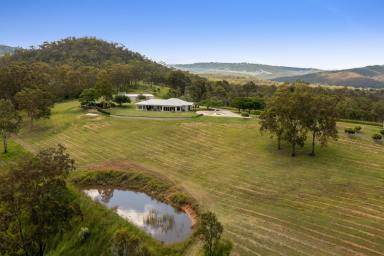 Farm Sold - QLD - Withcott - 4352 - Seeing is Believing! - Privacy - Views - Location - Acreage  (Image 2)