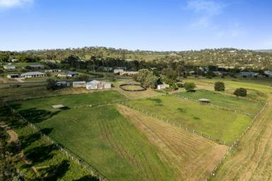 Farm Sold - QLD - Gowrie Junction - 4352 - Neat & Tidy Homestead - Great Location - Excellent Horse Infrastructure - Minutes to Toowoomba  (Image 2)