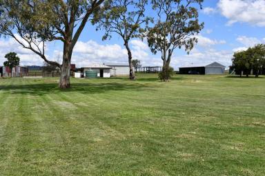 Farm Sold - QLD - Wyreema - 4352 - Rebair - Position, Position 88.18 Quality Acres  (Image 2)