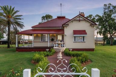 Farm Sold - QLD - Back Plains - 4361 - Immaculate Queenslander on Acreage  (Image 2)