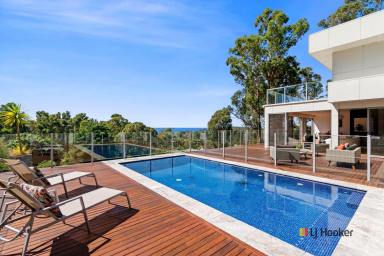 Farm Sold - NSW - Surf Beach - 2536 - Modern Multi-Level Masterpiece  (Image 2)