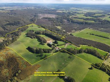 Farm For Sale - TAS - Irishtown - 7330 - Versitile & Private 154 acre grazing/equestrian property *Price Reduced!*  (Image 2)