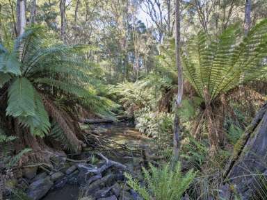 Farm Sold - TAS - Alcomie - 7330 - Private Off Grid Cabin and Land  (Image 2)