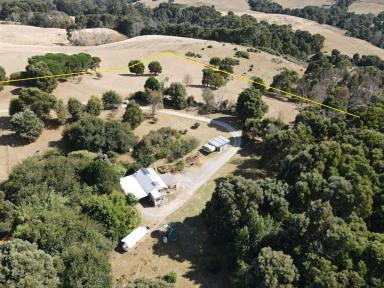 Farm Sold - TAS - Alcomie - 7330 - Private Off Grid Cabin and Land  (Image 2)