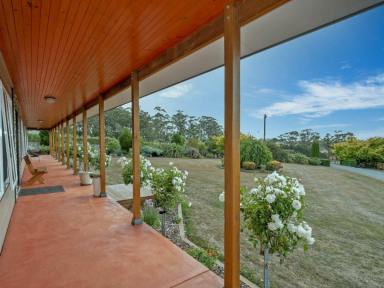 Farm Sold - TAS - Smithton - 7330 - Country Lifestyle with Contemporary Living  (Image 2)