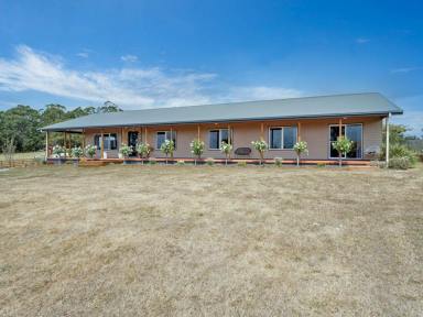 Farm Sold - TAS - Smithton - 7330 - Country Lifestyle with Contemporary Living  (Image 2)