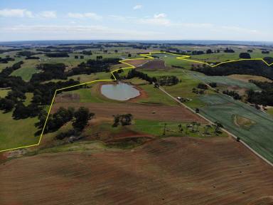 Farm Sold - TAS - Lileah - 7330 - Versatile Grazing or Cropping property  (Image 2)