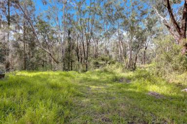 Farm Sold - NSW - Wadalba - 2259 - Land Opportunity  (Image 2)