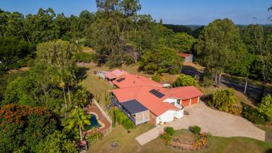 Farm Sold - QLD - West Woombye - 4559 - The Woombye Atelier: Light, Space & Inspiration  (Image 2)