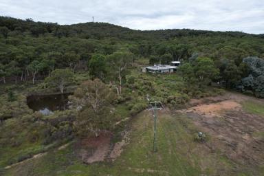 Farm Sold - NSW - Goulburn - 2580 - Hume Highway Location  (Image 2)