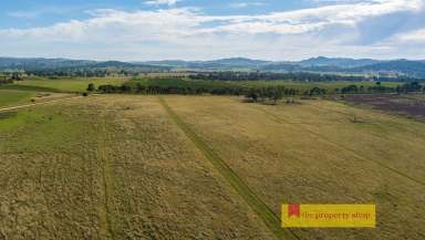 Farm Sold - NSW - Mudgee - 2850 - RARE OPPORTUNITY, PRESTIGE LOCATION  (Image 2)