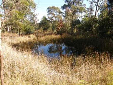 Farm Sold - NSW - Newton Boyd - 2370 - Paradise Lost, Now Found!  (Image 2)