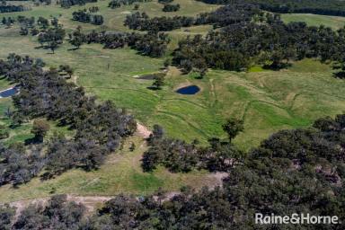 Farm Sold - NSW - Canyonleigh - 2577 - Views As Rare & Inspiring As The Land Itself  (Image 2)