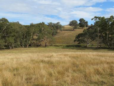 Farm Sold - NSW - Gundagai - 2722 - The Billabongs  (Image 2)