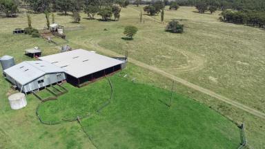 Farm Sold - NSW - Matheson - 2370 - Pitlochry, Glen Innes.  (Image 2)