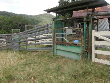Farm Sold - QLD - Woolooga - 4570 - OPEN COUNTRY  (Image 2)
