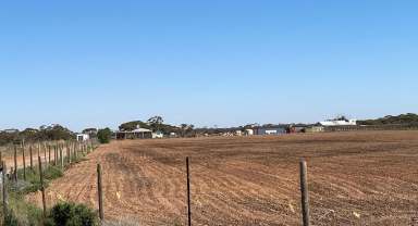 Farm Sold - VIC - Mildura - 3500 - Great Shed - Over 7 Acres of Land  (Image 2)