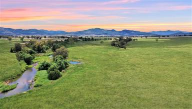 Farm For Sale - NSW - Quirindi - 2343 - LOT 26 IDEAL 2.58 ACRES WITH CREEK FRONTAGE & COUNTRY LIFESTYLE  (Image 2)