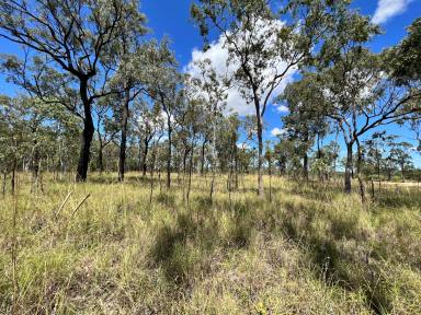 Farm Sold - QLD - Millstream - 4888 - SEMI RURAL LIFESTYLE WITH MILLSTREAM FRONTAGE – BUILD YOUR DREAM HOME!  (Image 2)