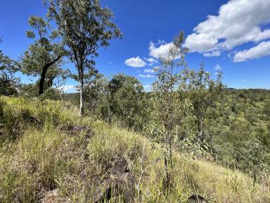 Farm Sold - QLD - Millstream - 4888 - SEMI RURAL LIFESTYLE WITH MILLSTREAM FRONTAGE – BUILD YOUR DREAM HOME!  (Image 2)
