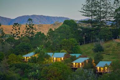 Farm Sold - QLD - King Scrub - 4521 - 5 Cabins on 38 acres with Breathtaking Views  (Image 2)
