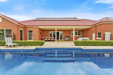 Farm Sold - NSW - Tamworth - 2340 - When Only The Best Will Do  (Image 2)