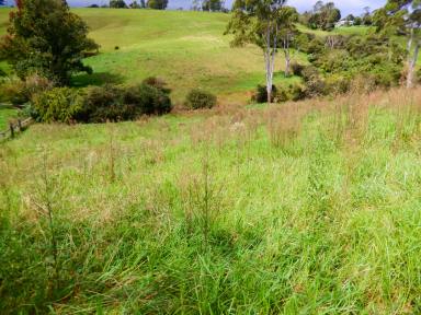Farm Sold - NSW - Dorrigo - 2453 - 1.23ha or 3 acres* of vacant land  (Image 2)
