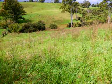 Farm Sold - NSW - Dorrigo - 2453 - 1.23ha or 3 acres* of vacant land  (Image 2)