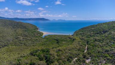 Farm Sold - QLD - Cooktown - 4895 - Large Vacant Land in Cooktown  (Image 2)