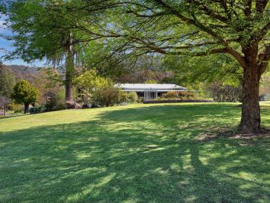 Farm Sold - VIC - Coral Bank - 3691 - "Stonehaven"  (Image 2)