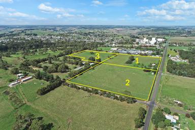 Farm Sold - VIC - Cobden - 3266 - Chip in for a Birdie!  (Image 2)